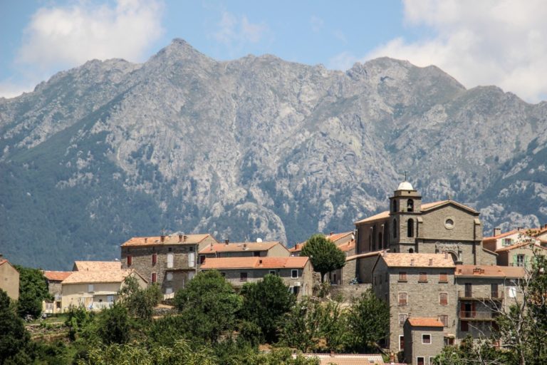 ACCOLTA Cozzano
